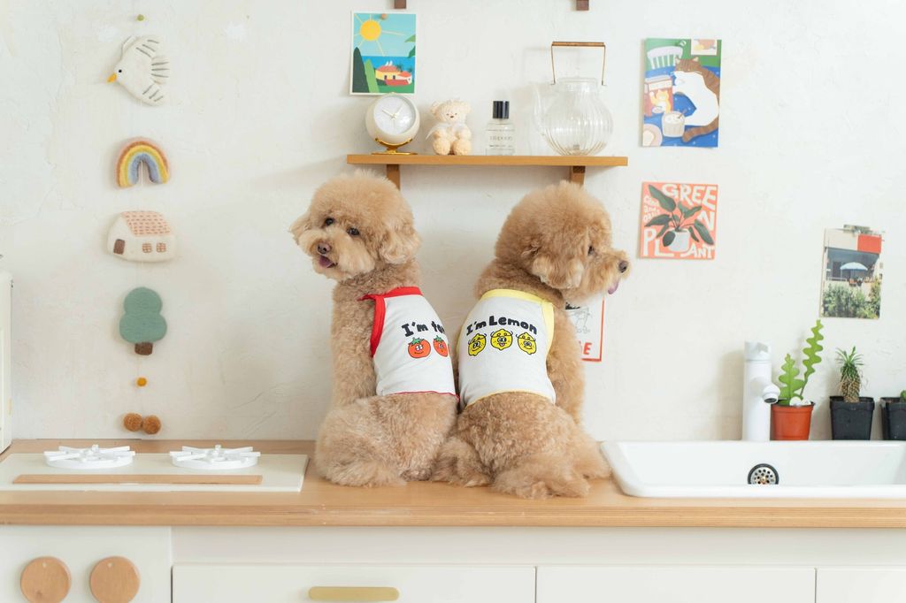 image_1747997848382_2500