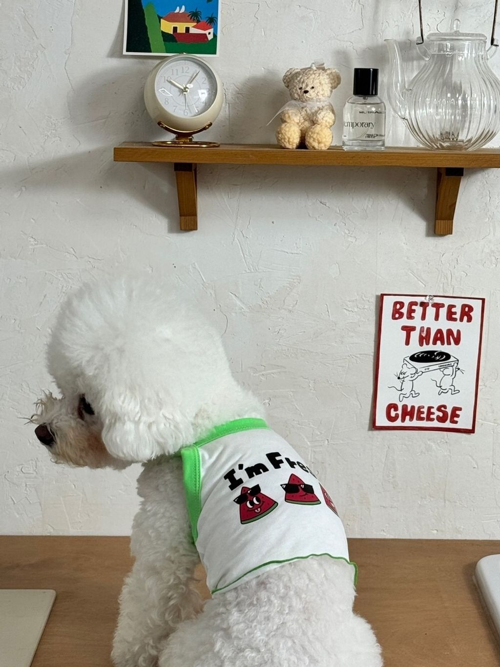 image_1747998051479_1000