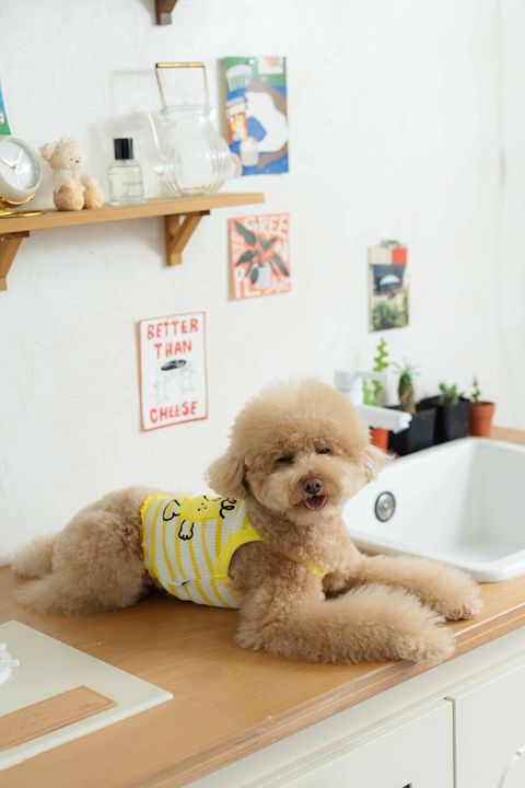 image_1747997132070_1000