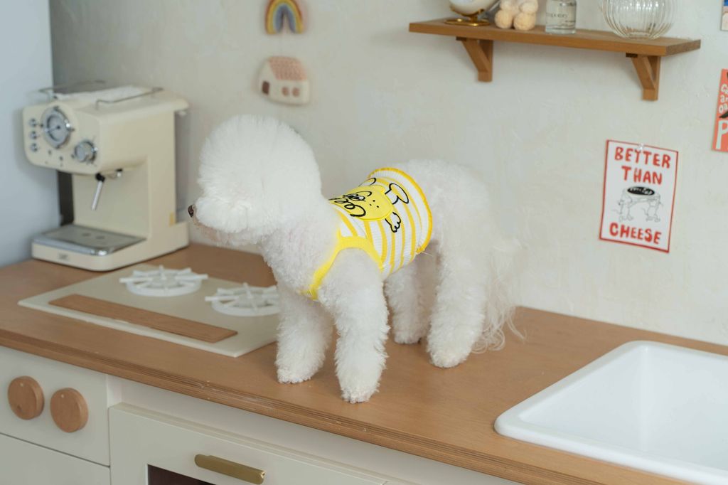 image_1747997318491_2500