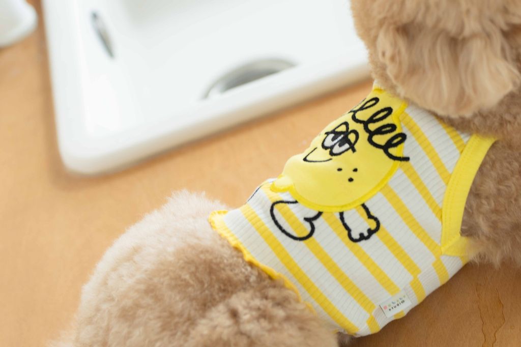 image_1747997330002_2500