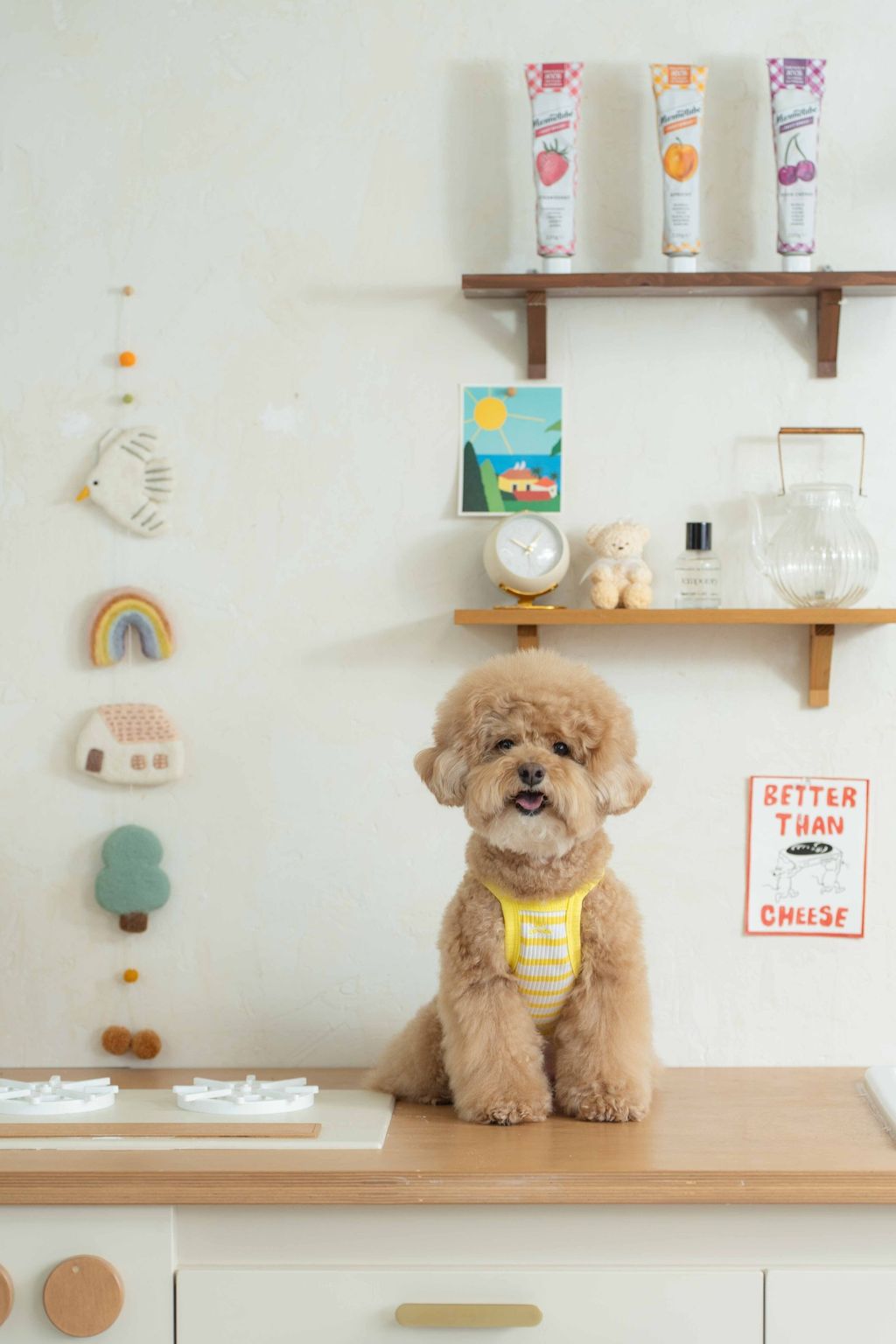 image_1747997341827_2500