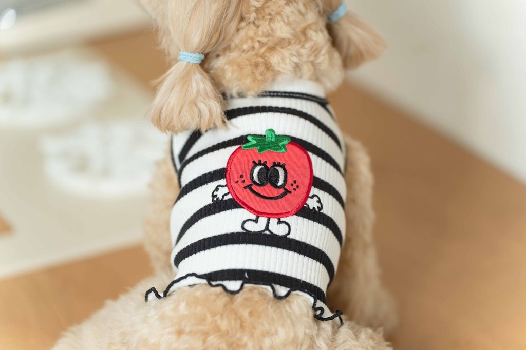 image_1746778473246_2500