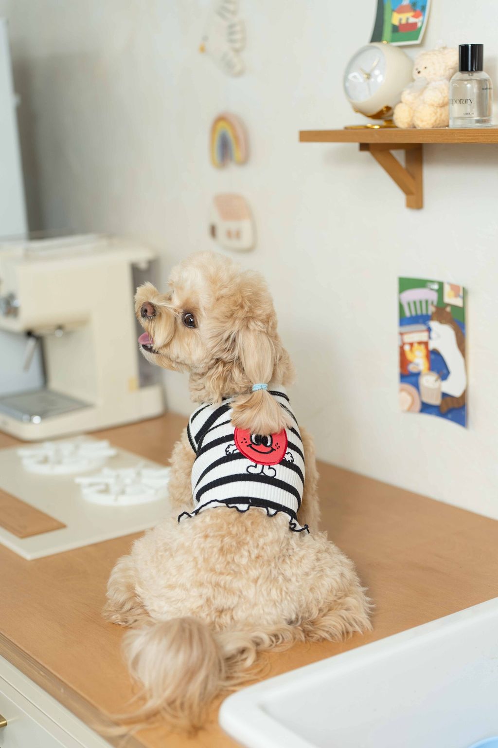 image_1746778458433_2500