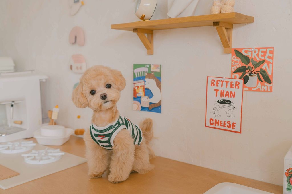 image_1707658262030_2500