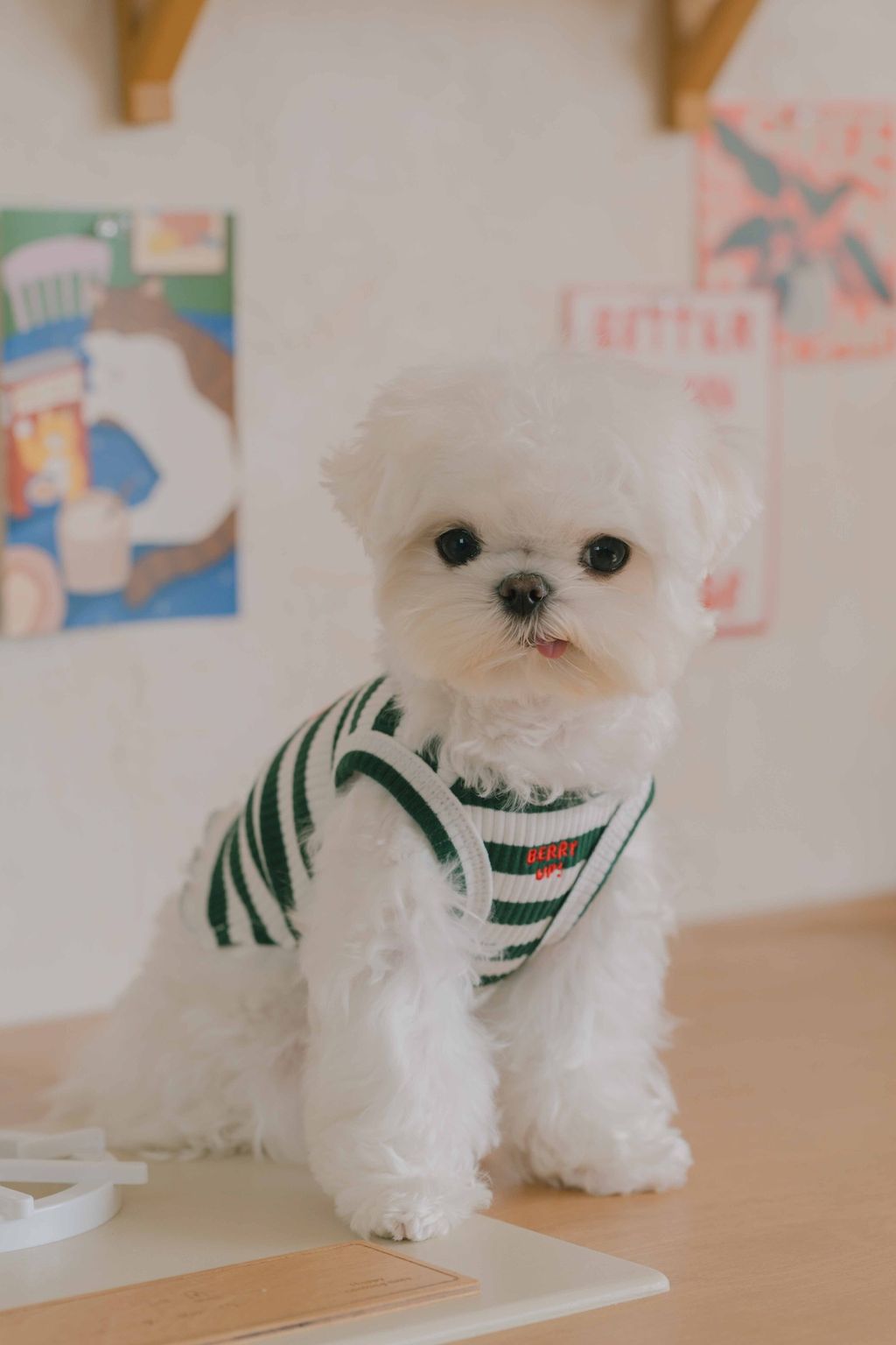 image_1707658268433_2500