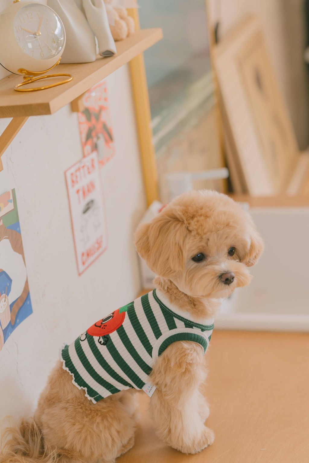 image_1707658265110_2500