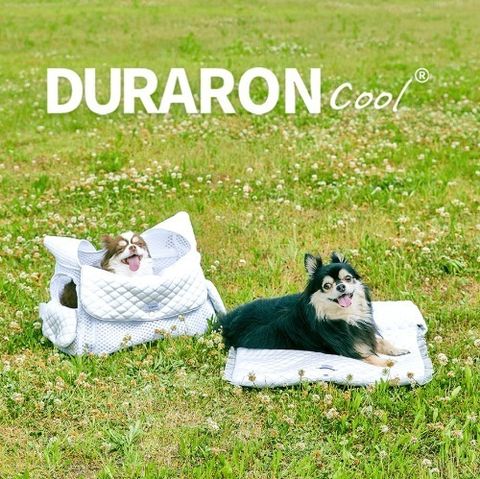 5a285084d401dc7f0e0fdbaac10d25b7