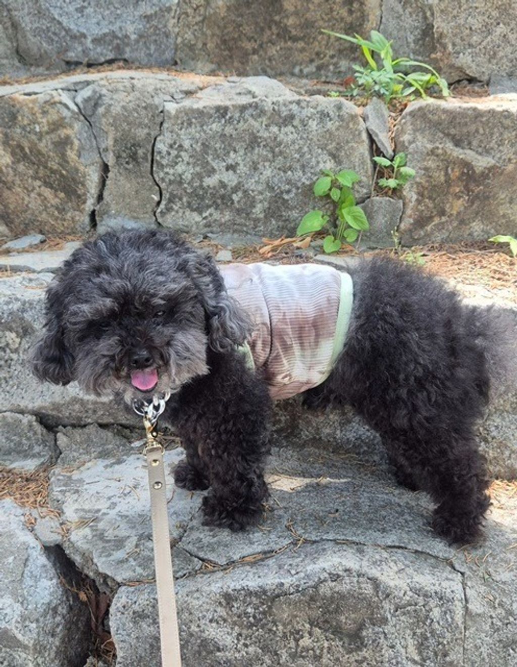 imgi_19_20250619_110554