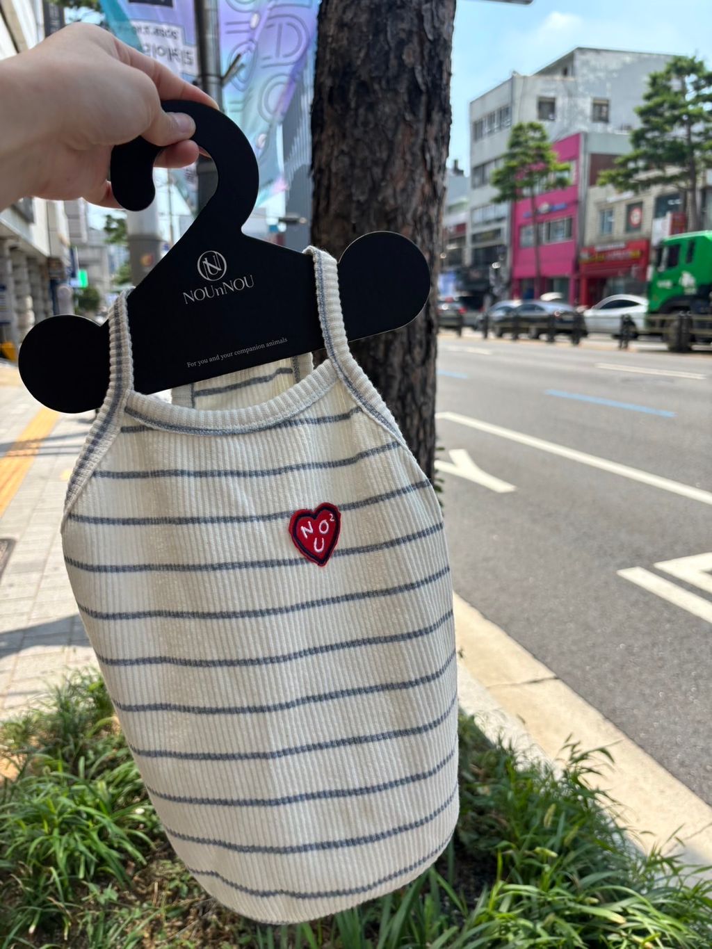 image_4533FAB5-0DB0-47F0-A1E4-A4C8535F35C3_1754446162