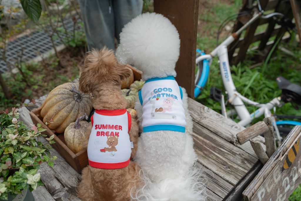 image_97AFE205-B75C-44E3-B928-2579336B3AF0_1754454126