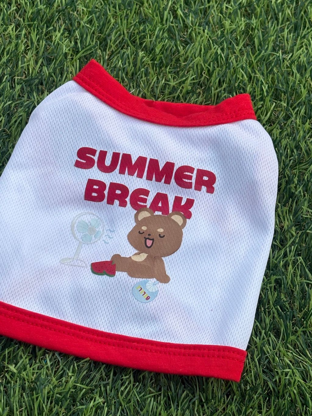 image_F1297B30-B1EC-46F8-9DFA-85EF577BB2D3_1754454126