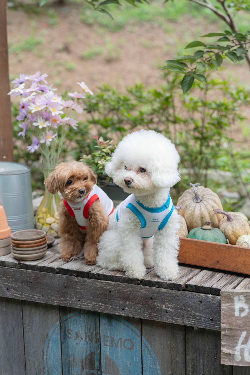 image_B2844C46-CC5F-4B6E-9937-B72E3CE90A06_1754454126