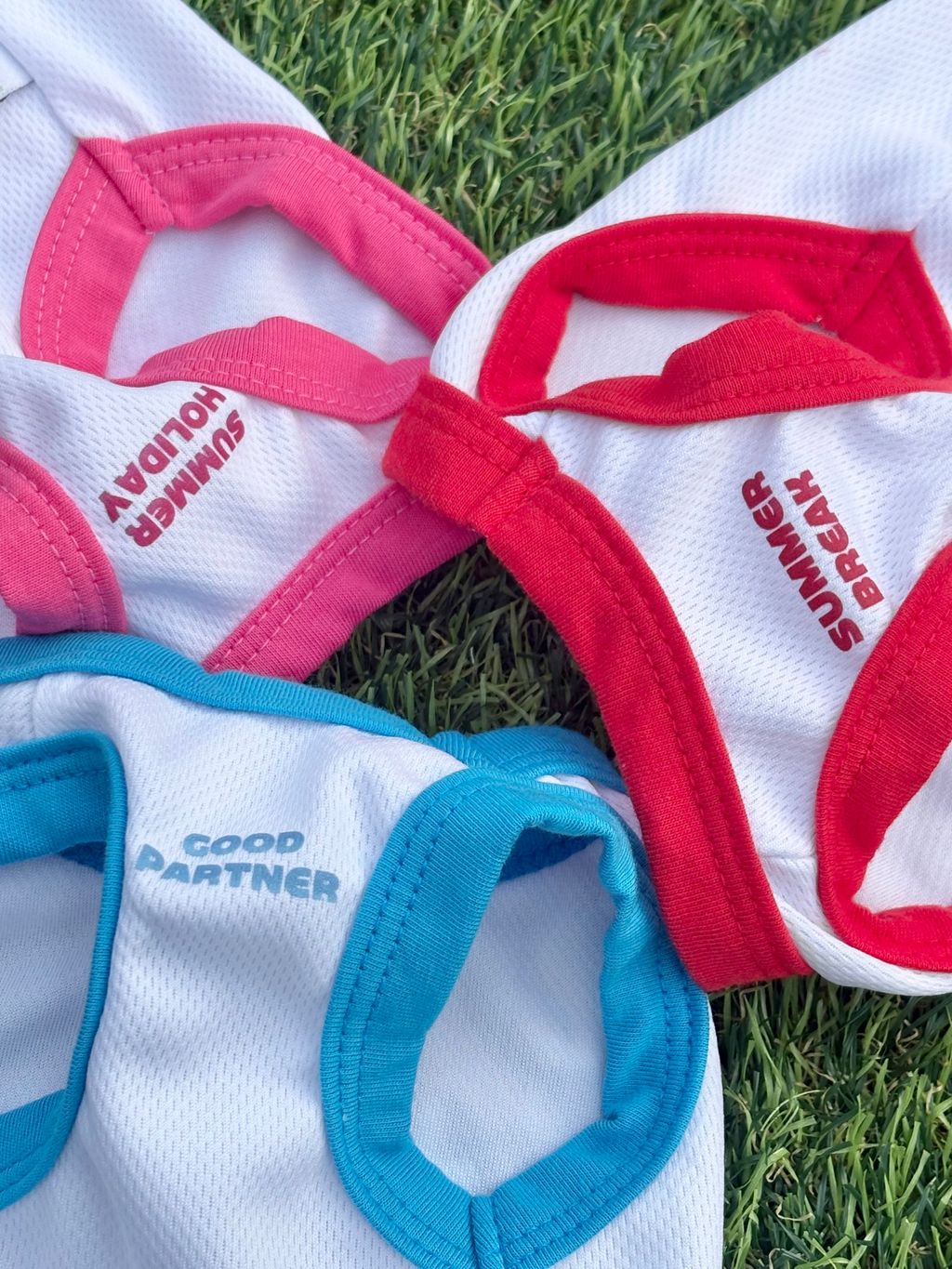 image_9DE1F2DF-0E78-4E21-8F5C-B90E38B78119_1754454126