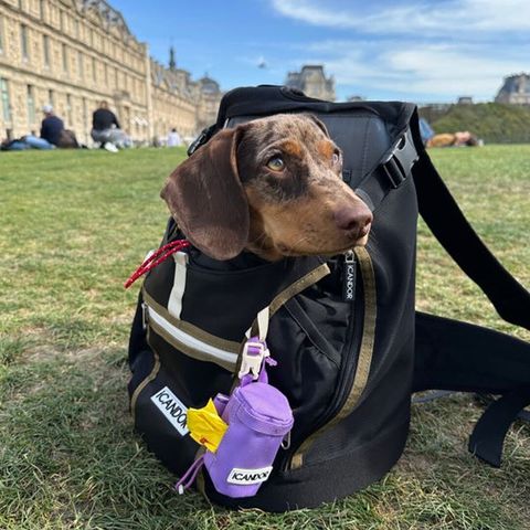 23e205c75585bb05076cd9d2c9c555ce