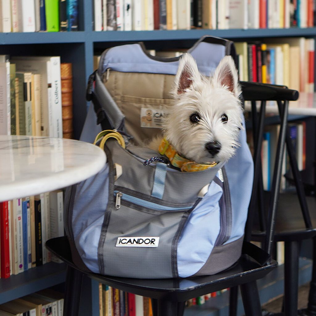 98a81ddb0b4b011defb0bc73fb322359