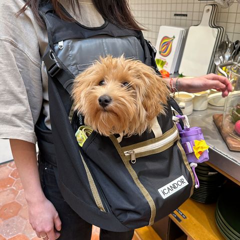 81b66c6facfb8835214a961655df76b9