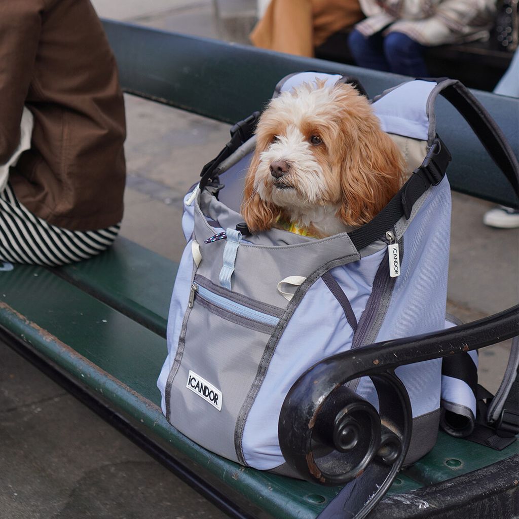 15da8330380aa6b6a31df7ea293e7537