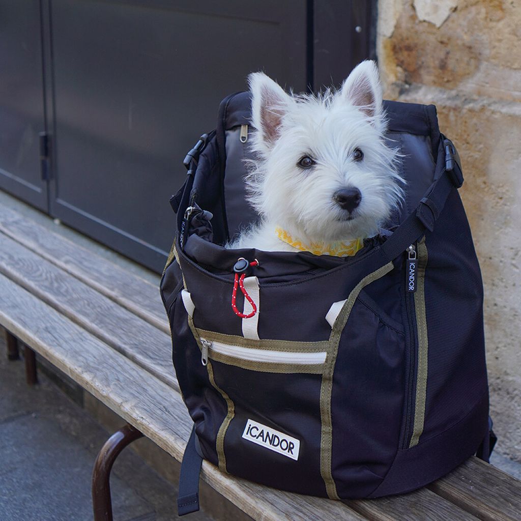 2878b154d94e1a2683d8a9a46c706f51