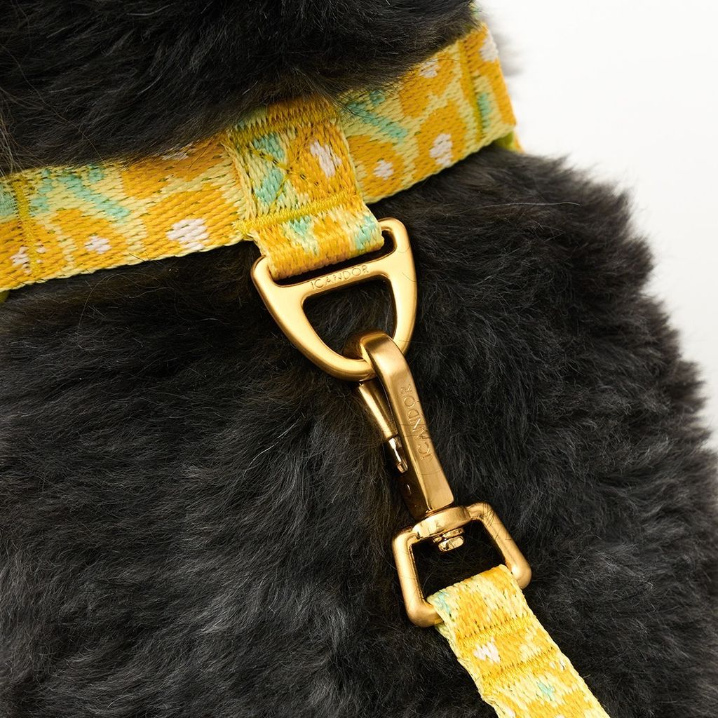 imgi_15_a9af90632dc9563a1cf6d9117586adeb