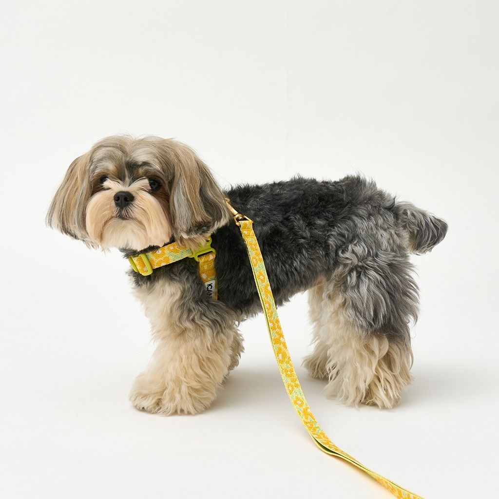 imgi_16_b174c0c34303e15c52905ba377731e26