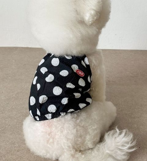 image_F9FB9392-7579-4AF0-B3D7-8B0D9450EC6C_1755098083