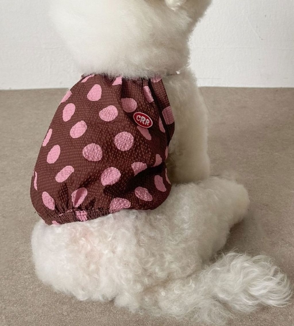 image_EE663690-7DA1-4F0C-8D7B-BE77A5906B2D_1755098083