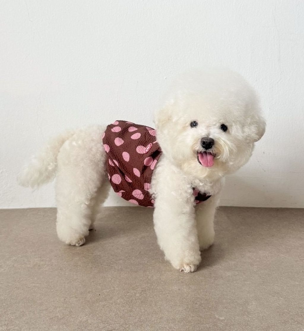 image_E9A9C0FD-57B0-4714-A6F6-5B3F77AC9A8E_1755098083