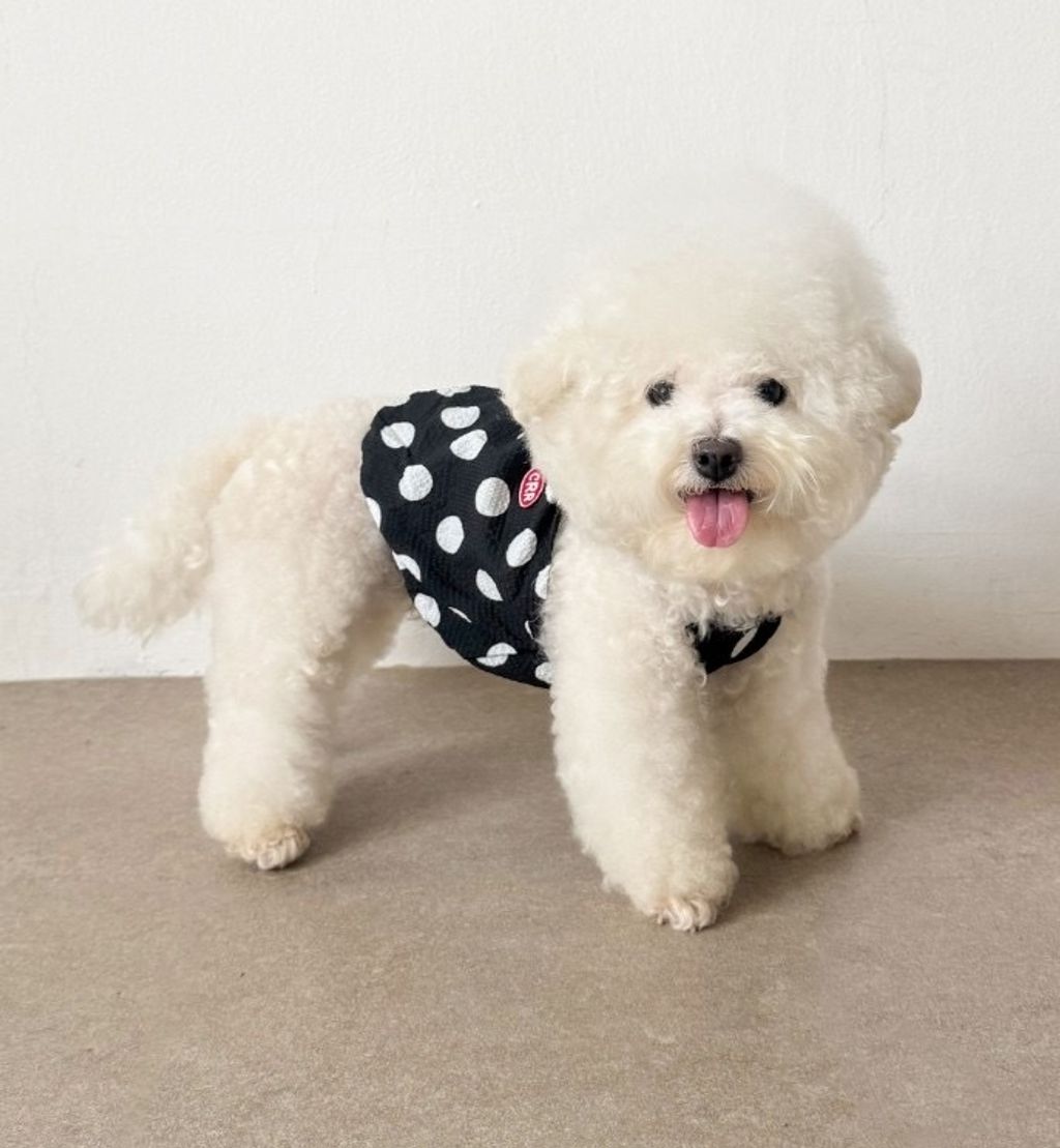 image_F5C5A2C2-98DE-4C9D-B79A-4C017083A648_1755098083