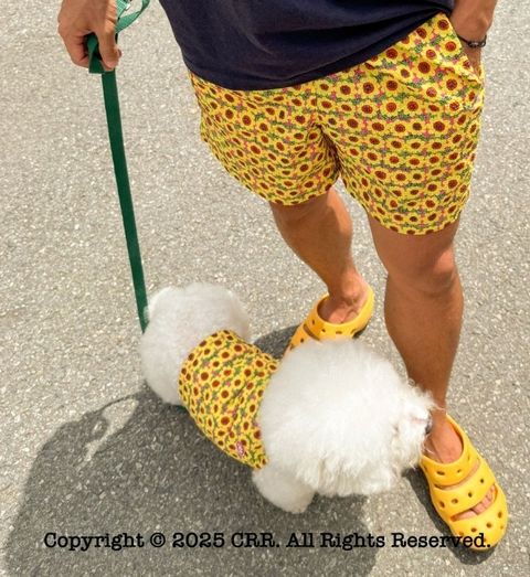 image_5AA07DD4-5B9D-4CB9-BA87-63DFD092E4B0_1755098227