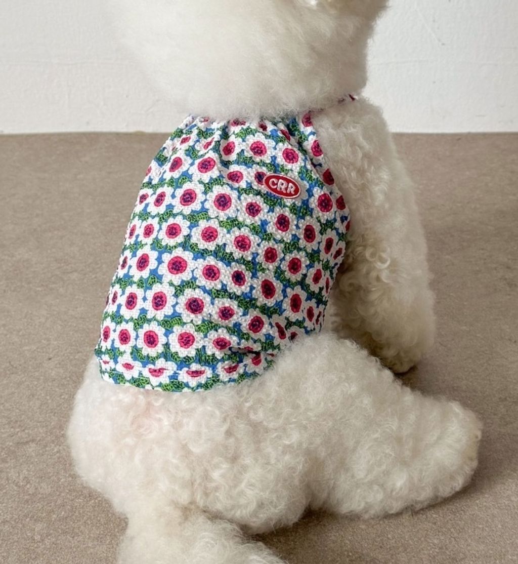 image_E1CAAC2B-DBEF-4B3E-931A-D9265D97D071_1755098440