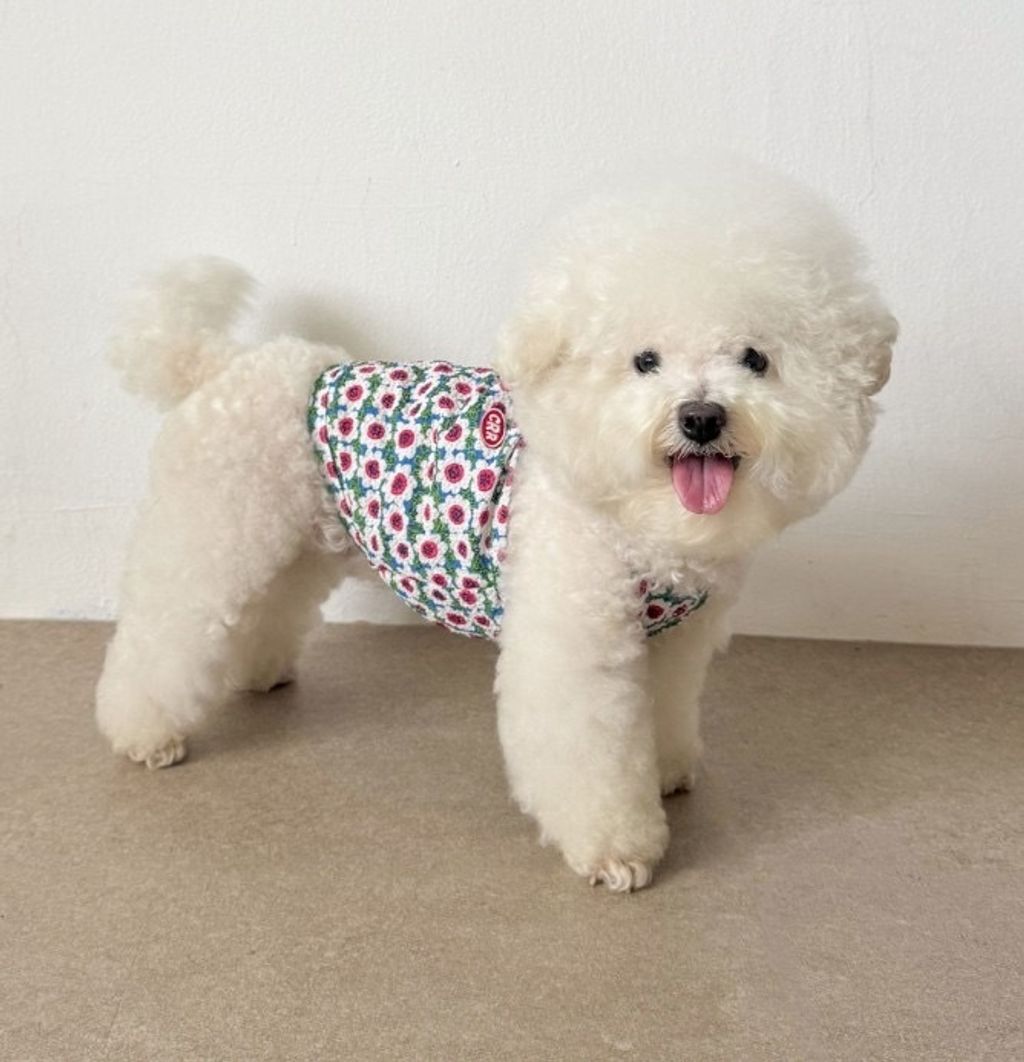 image_9C9E27AB-D6D6-4775-8142-6EDBA6D7309C_1755098440