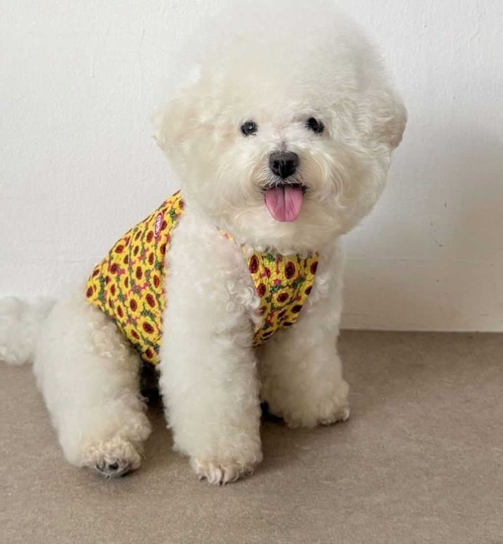 image_F0EF795C-80C2-4F8C-BC11-3948A9EA71C7_1755098440