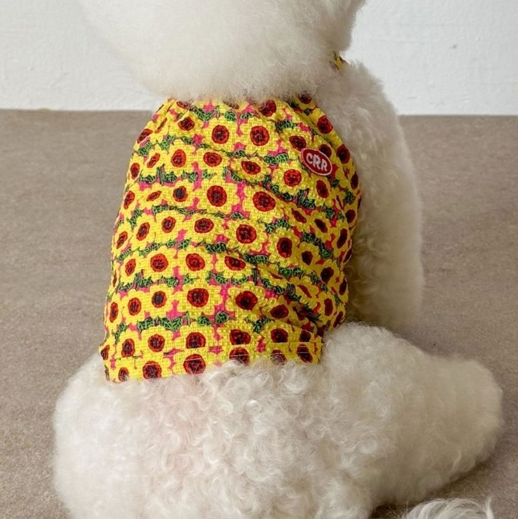 image_895998CC-41D7-423F-9E4F-04C88C1A2E0C_1755098440