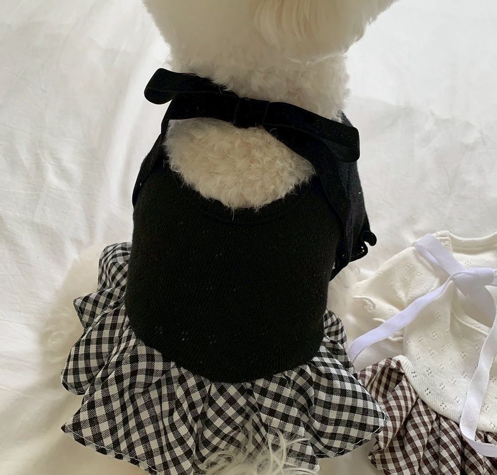 image_8E067633-05C1-491A-B864-E14AAA90987B_1755133736