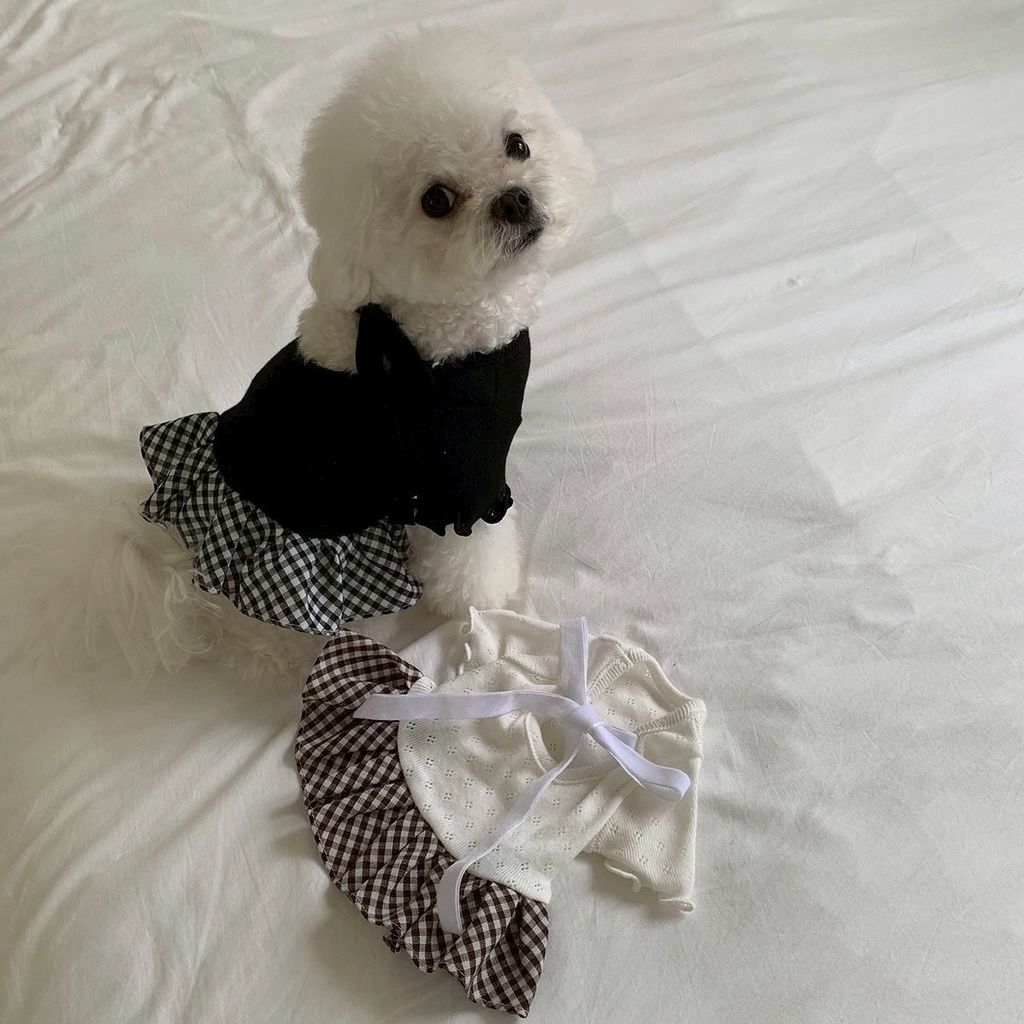 image_0ED4C164-B002-40BA-84E8-82D052AD3B76_1755133736