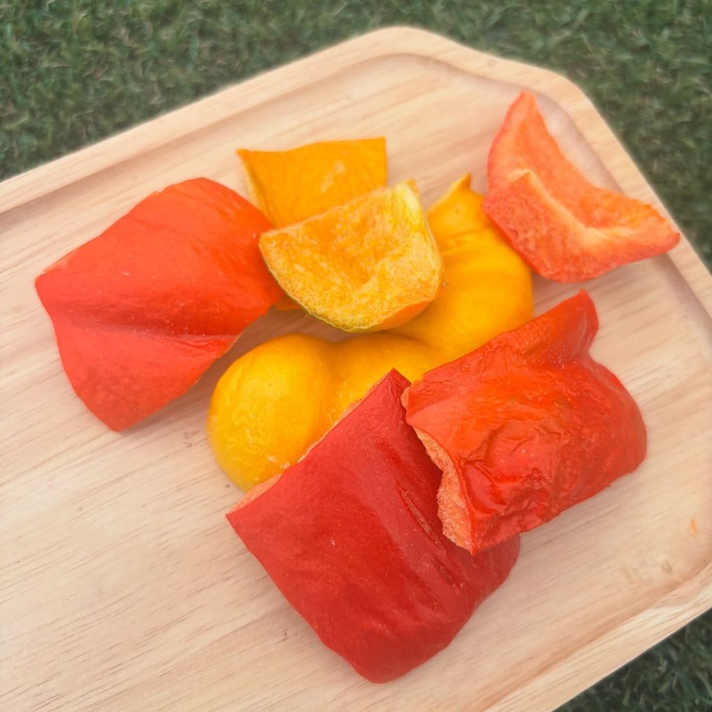 imgi_13_508952310_17911051110117684_8054295094696425182_n