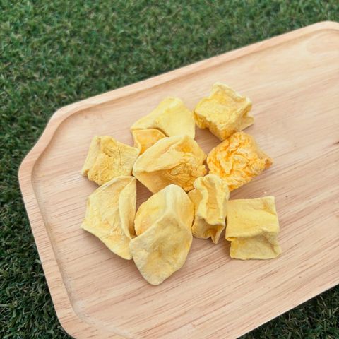 imgi_14_509413571_17911050849117684_9058936384719621728_n