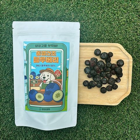 imgi_47_502956395_17908745199117684_426196558670603934_n