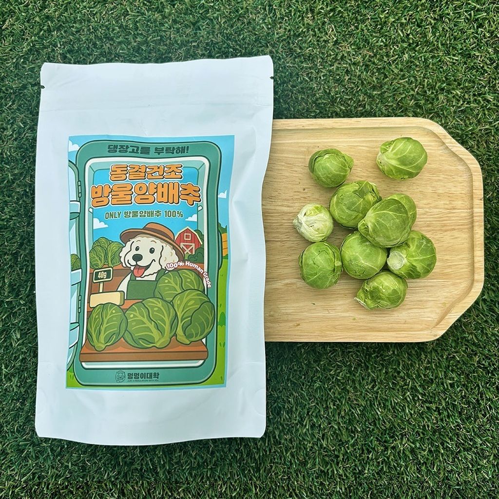 imgi_47_501898247_17908591278117684_7359774581477829884_n