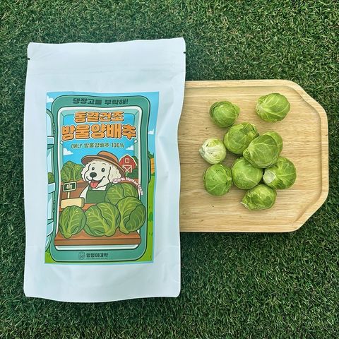 imgi_47_501898247_17908591278117684_7359774581477829884_n