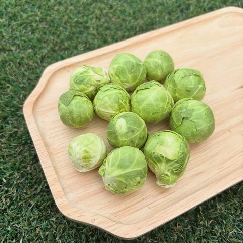 imgi_18_501678624_17908591275117684_2439411852689648502_n