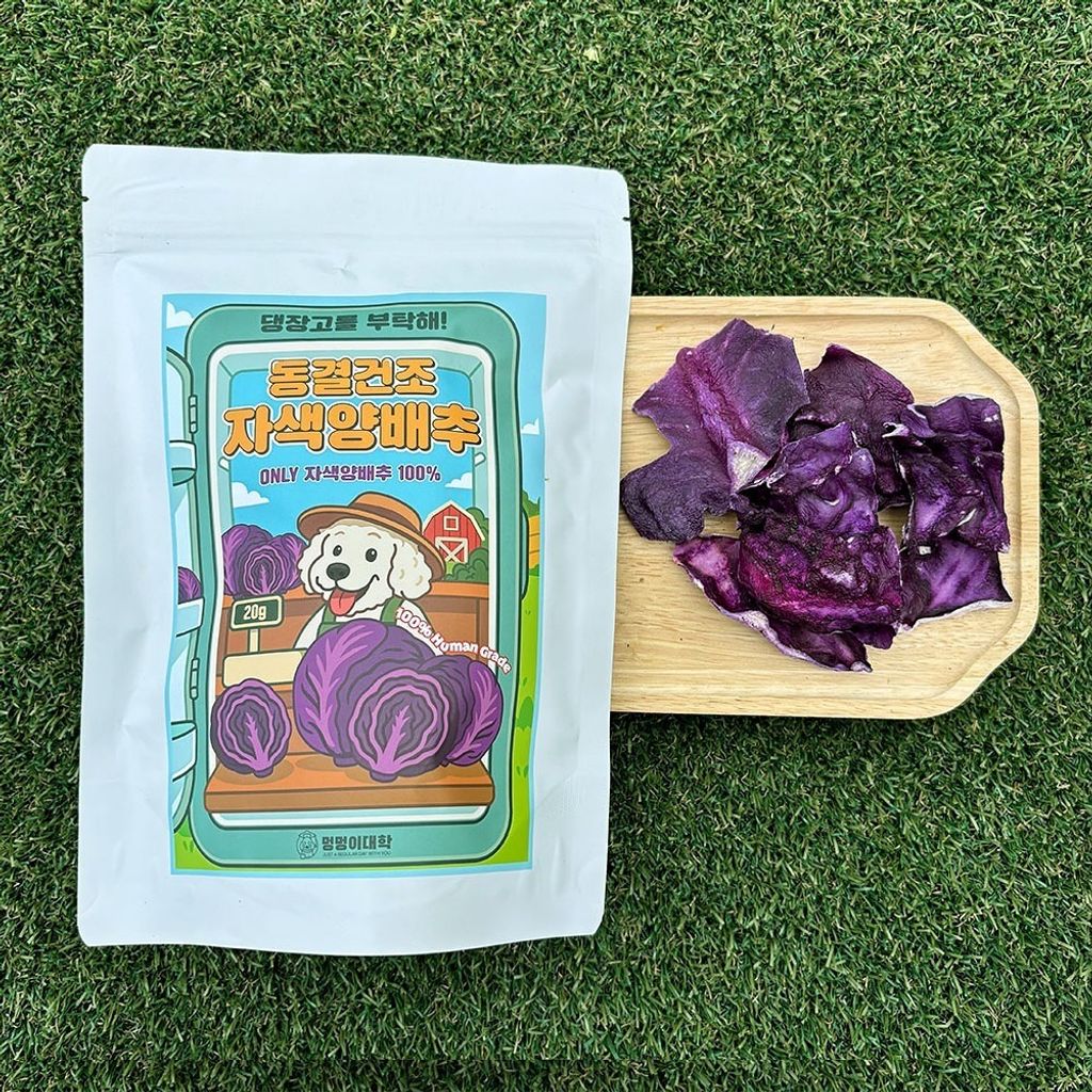 imgi_47_499585325_17907689751117684_7229858518546936145_n