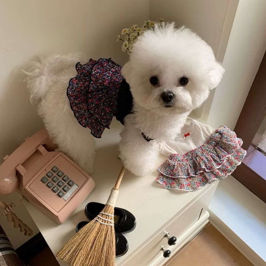 image_3A7CC2D0-157B-4865-9892-4D1E17D7DC05_1755678695