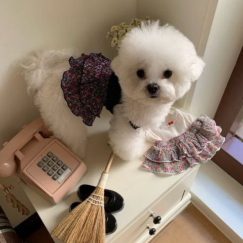 image_3A7CC2D0-157B-4865-9892-4D1E17D7DC05_1755678695