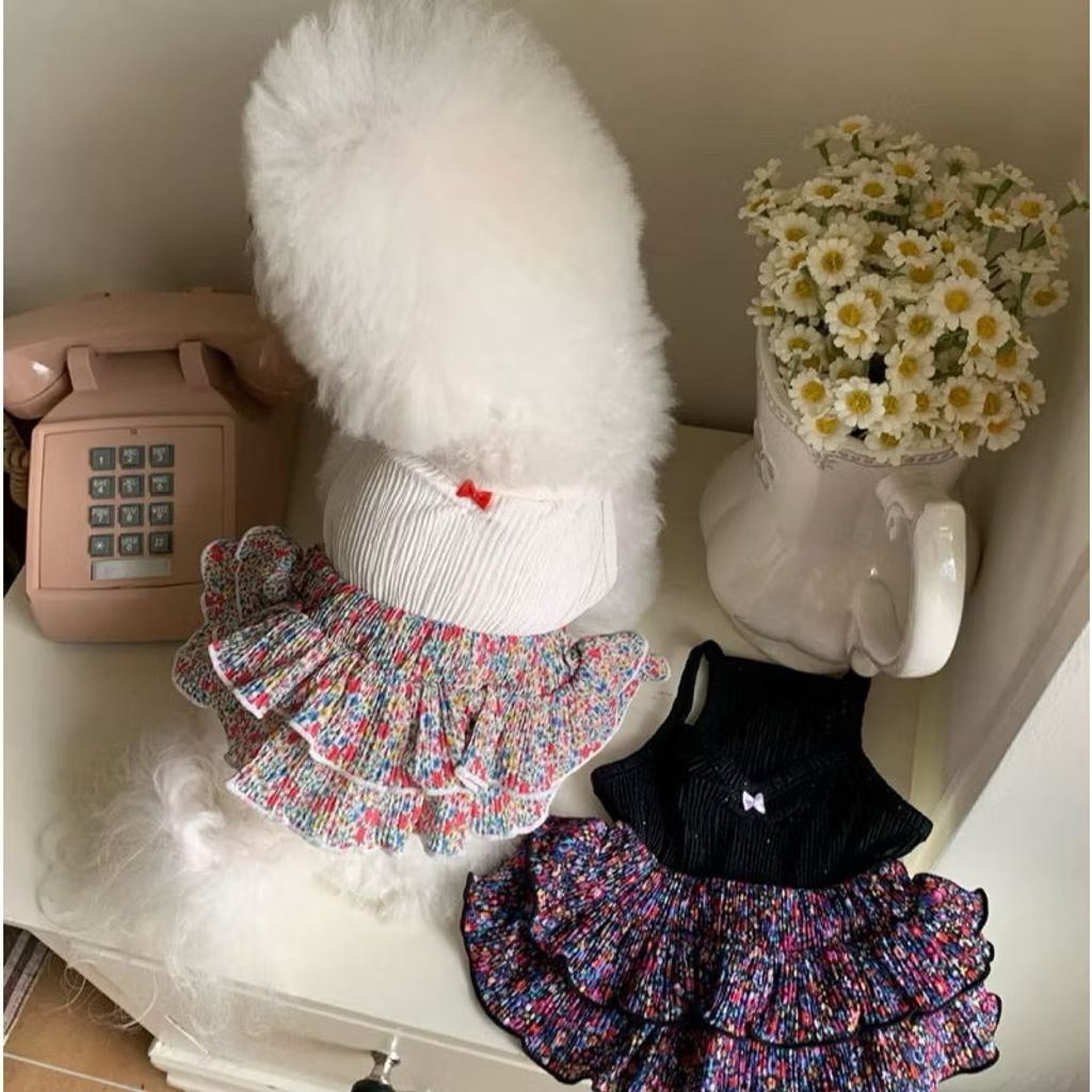 image_CAB59D20-A614-4B41-992A-16B35AC5CB13_1755678695