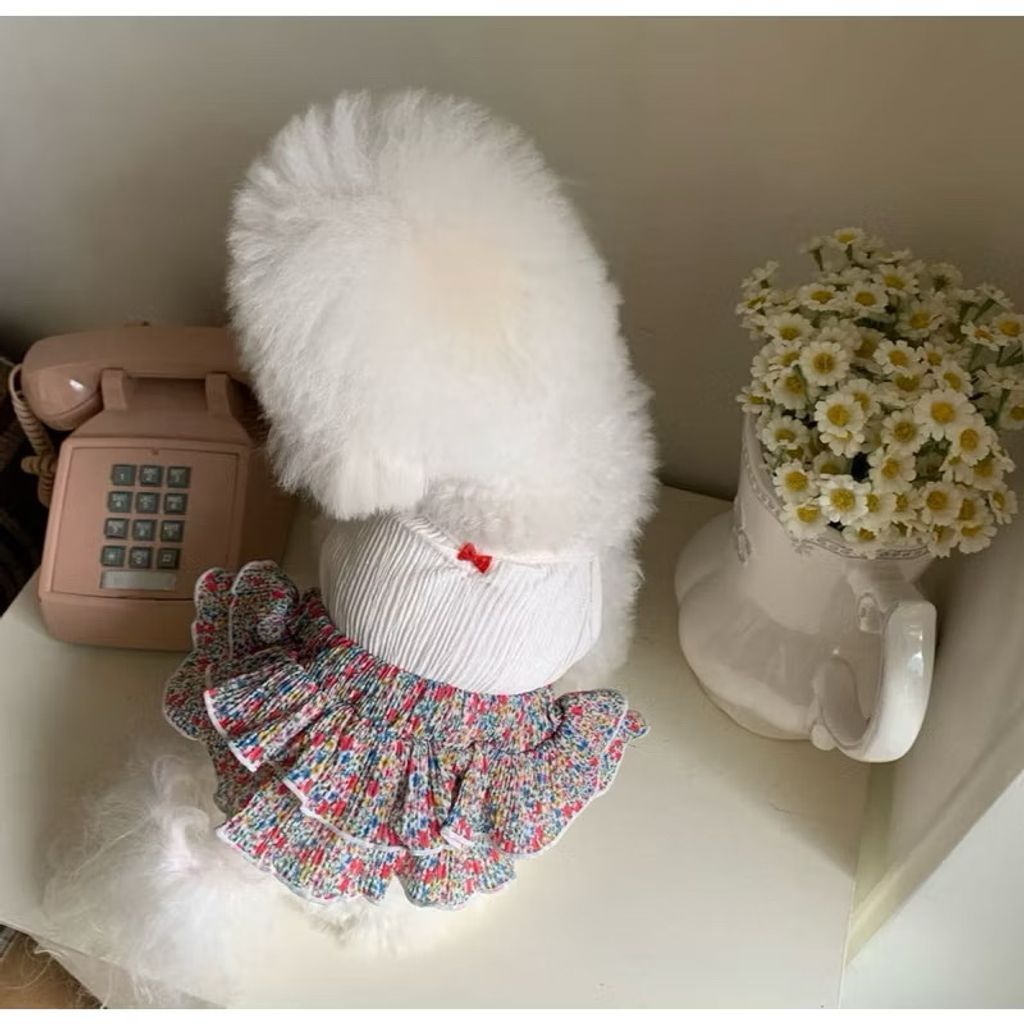 image_0612B267-E56F-4D02-91D9-A953552C5B28_1755678695