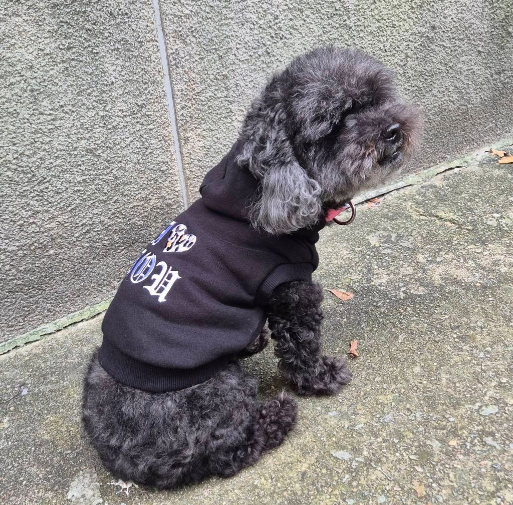 image_7B595556-50C2-4167-914C-B75183FBF8F0_1757907157