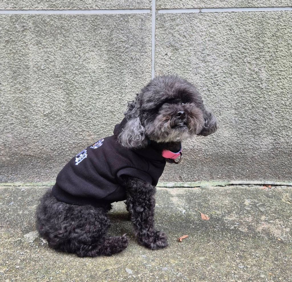 image_6F5EBA56-C6D5-43A4-86A5-0D79E66758F2_1757907157