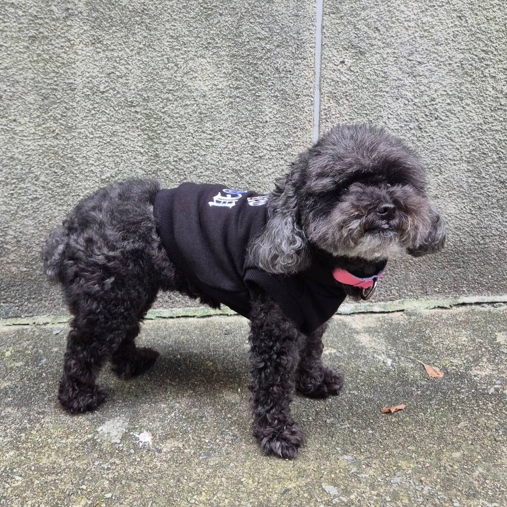 image_D1066BE1-9DE9-4E40-8543-546A906814DF_1757907157